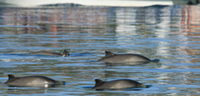 Offer image for: Thousand Islands Expeditions - 10% discount