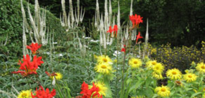 Offer image for: Cae Hir Gardens - 25% discount