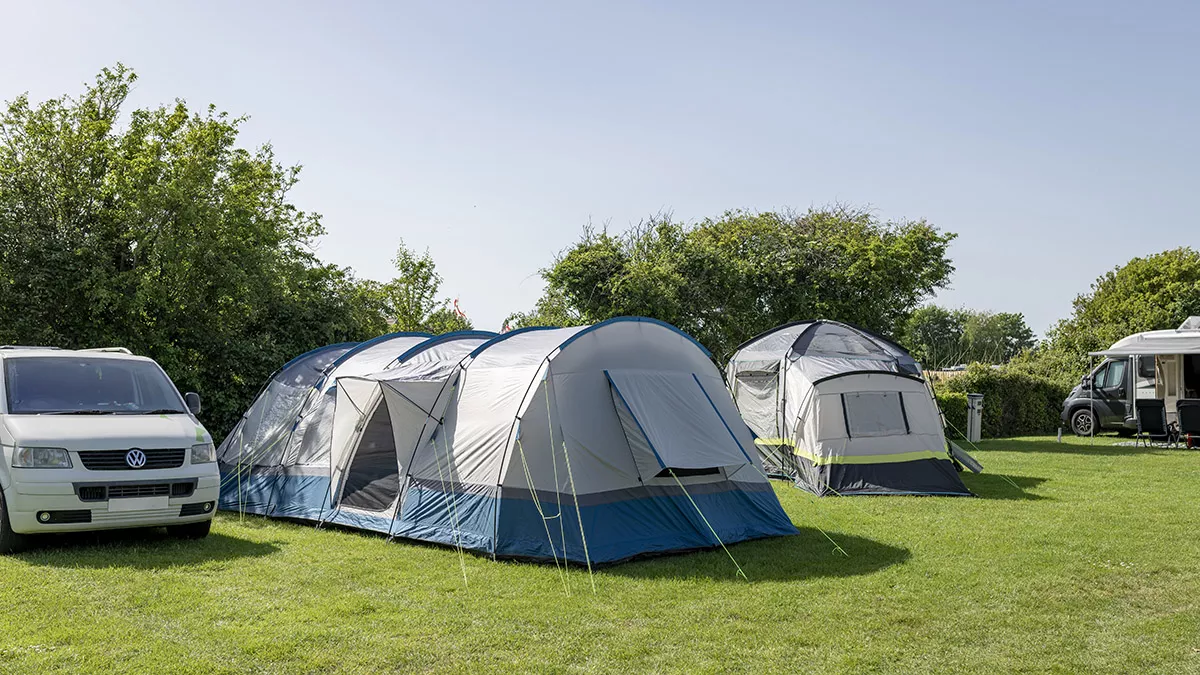 Tents pitched in between a VW campervan and a motorhome