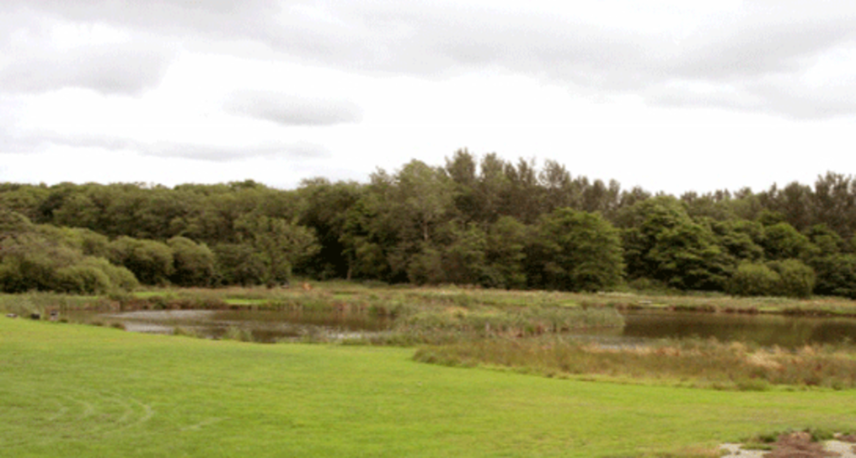 Spring Heath Fishery, Log Cabins and Caravan Park, SY10 8DA, Oswestry, Shropshire