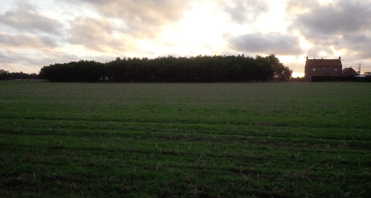 Twit Twoos, PE24 5JB, Skegness, Lincolnshire