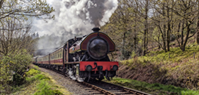 Offer image for: Lakeside & Haverthwaite Railway - Child goes free
