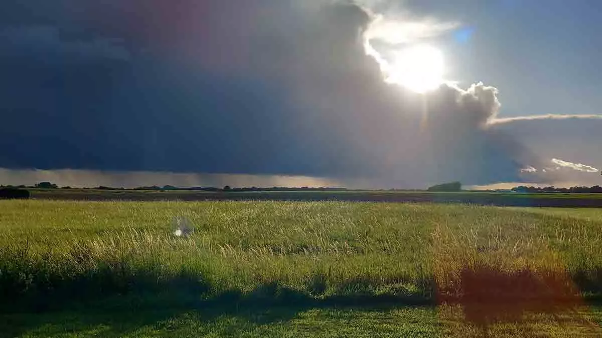 The Farm, PE22 7EU, Boston, Lincolnshire, CL owner, 2026, field, grass, clouds