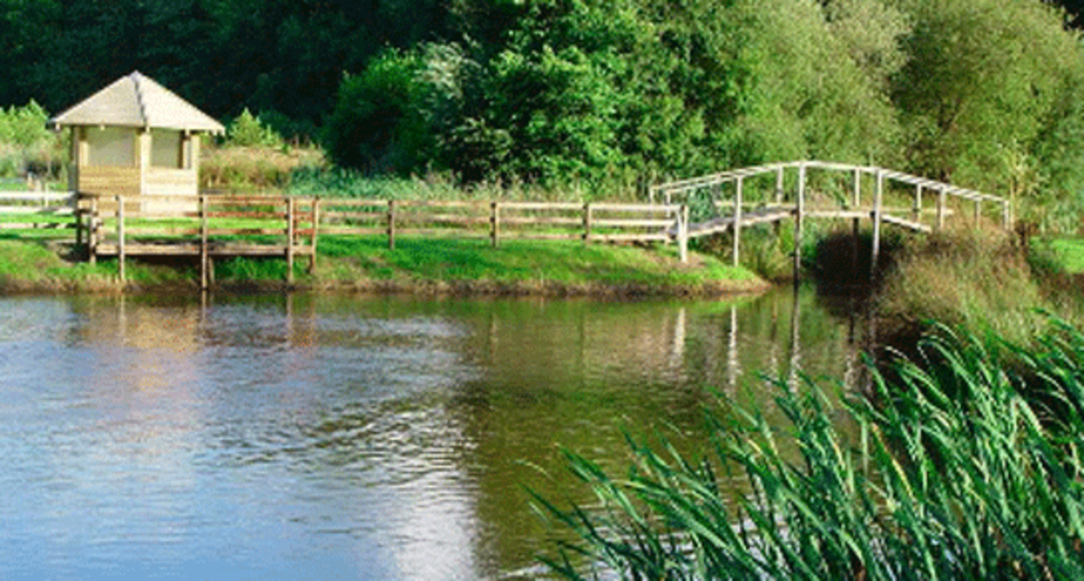 Spring Heath Fishery, Log Cabins and Caravan Park, SY10 8DA, Oswestry, Shropshire