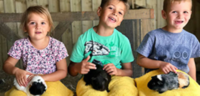 Offer image for: Dorset Heavy Horse Farm Park - Free horse feed