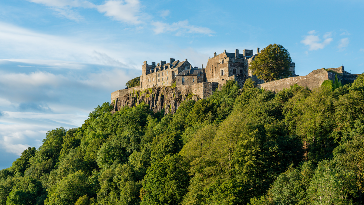 Stirling Castle looking out from the tree-covered hilltop under blue skies