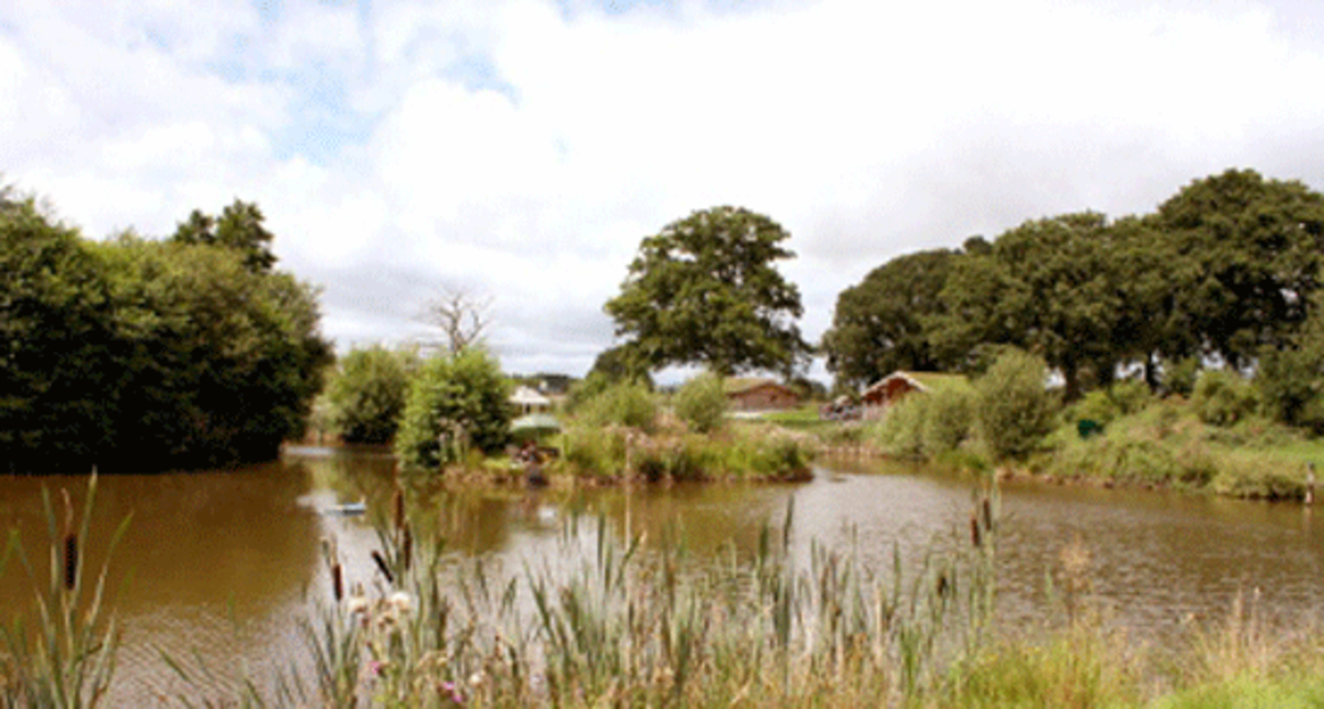 Spring Heath Fishery, Log Cabins and Caravan Park, SY10 8DA, Oswestry, Shropshire
