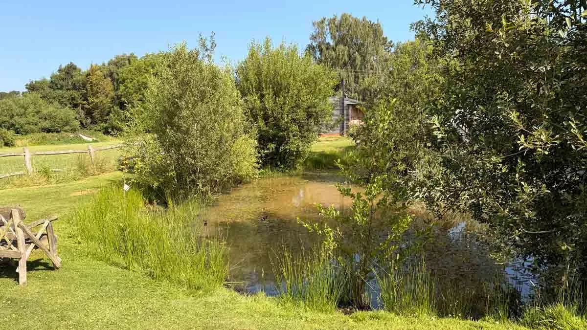 Puckridge Farm, BN27 1QD, East Sussex, Hailsham, 2026