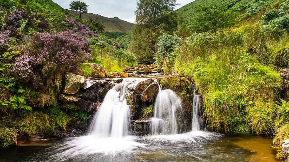 Waterfall near Kinder Scout in the Peak District, the white water flowing over the rocks down into the pool below, with grass, rocky edges with the grassy hills rising on both sides into the background